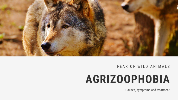 Miedo a la fobia a la vida silvestre – agrizoofobia Miedo a la fobia a la vida silvestre – agrizoofobia