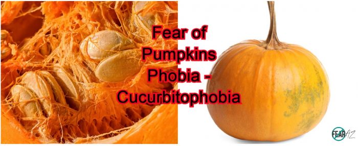 Miedo a las calabazas – cucurbitofobia Miedo a las calabazas – cucurbitofobia