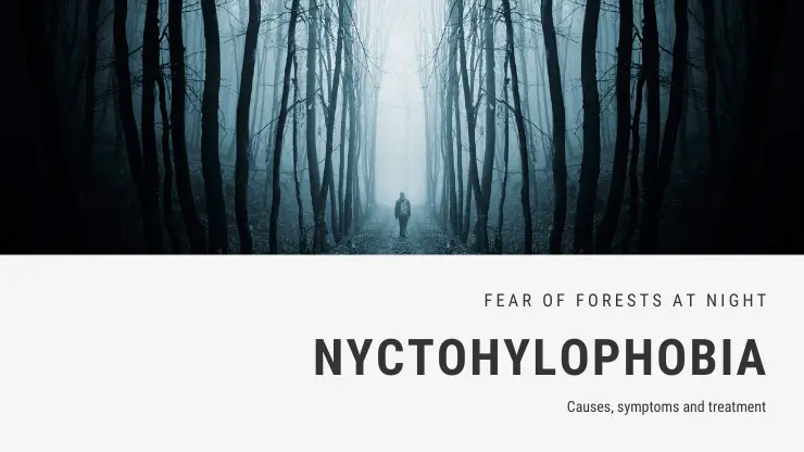 Miedo a los bosques por la noche Fobia – Nictohilofobia Miedo a los bosques por la noche Fobia – Nictohilofobia