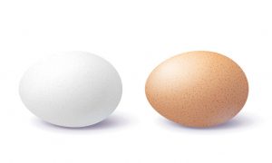 Ovofobia – miedo a los huevos