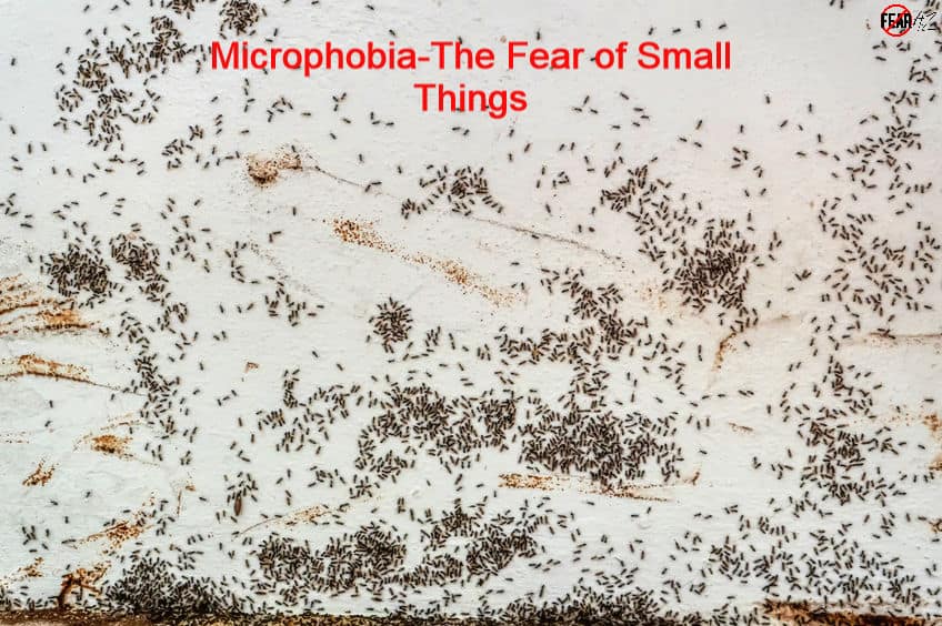 Microfobia: miedo a las cosas pequeñas.