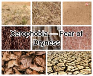 Xerofobia: miedo a la sequedad o a las manos secas. Xerofobia: miedo a la sequedad o a las manos secas.