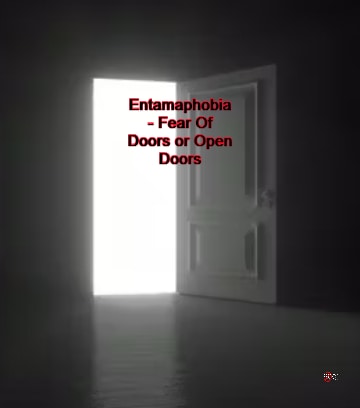 Entamafobia – Miedo a las puertas o a las puertas abiertas.