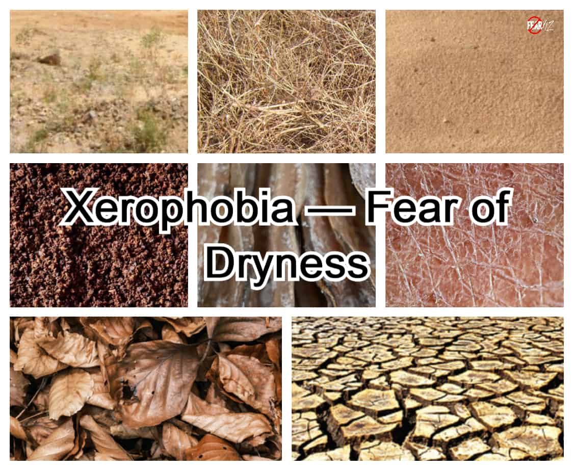 Xerofobia: miedo a la sequedad o a las manos secas. Xerofobia: miedo a la sequedad o a las manos secas.