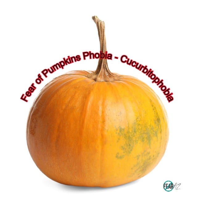 Miedo a las calabazas – cucurbitofobia Miedo a las calabazas – cucurbitofobia