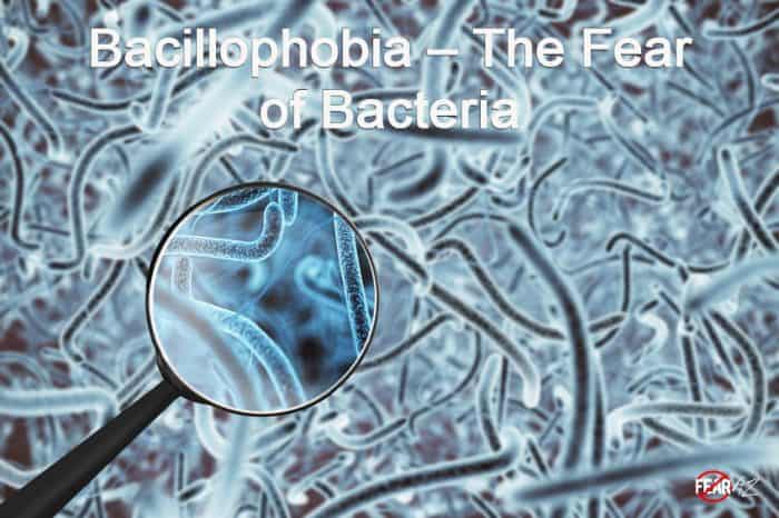 Bacilofobia: el miedo a las bacterias