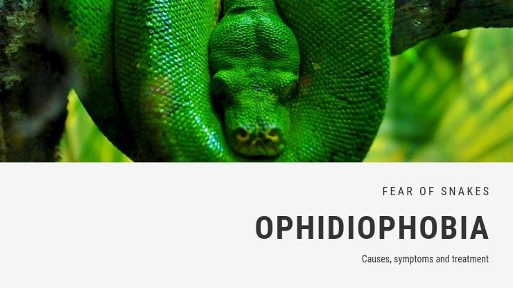 Miedo a la fobia a las serpientes – ofidiofobia Miedo a la fobia a las serpientes – ofidiofobia