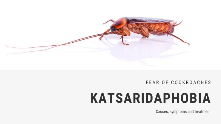 Miedo a las cucarachas – Katsaridafobia Miedo a las cucarachas – Katsaridafobia