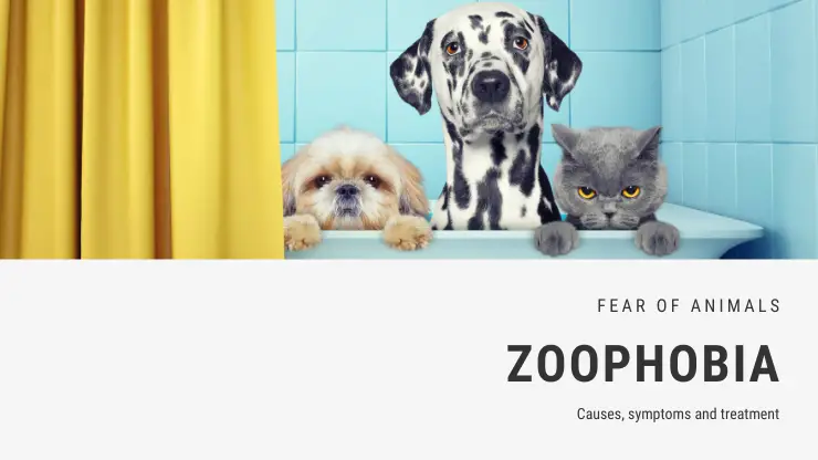 Miedo a los animales fobia – zoofobia Miedo a los animales fobia – zoofobia