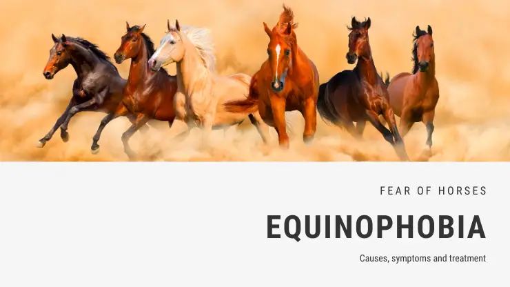 Miedo a los caballos – equinofobia Miedo a los caballos – equinofobia