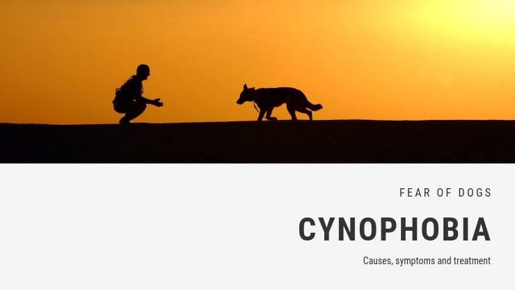 Miedo a los perros – fobia – cinofobia Miedo a los perros – fobia – cinofobia