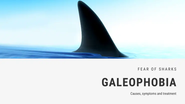 Miedo a los tiburones: galeofobia o selacofobia Miedo a los tiburones: galeofobia o selacofobia